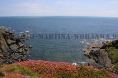 IMG_0147-Cornwall
