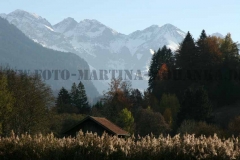 IMG_0881-Allgäu