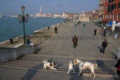 IMG_1163-Venedig--korr.