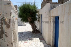 IMG_2600-Kreta