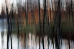 Herbst-1