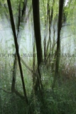 IMG_1344