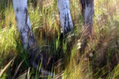 IMG_3660Korr.