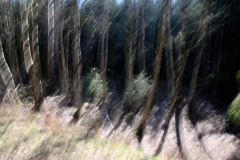 IMG_8569 Korr.