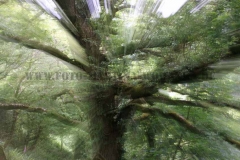 IMG_9826-Korr-Verzauberung-2
